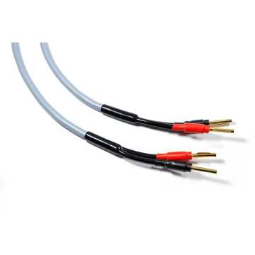 Melodika MDSC1515G - 2x1